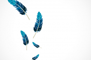 feather-1689331_1280 feather-1689331_1280