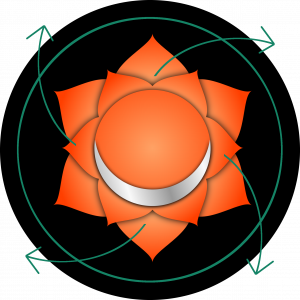 Sakral-Reinigung
