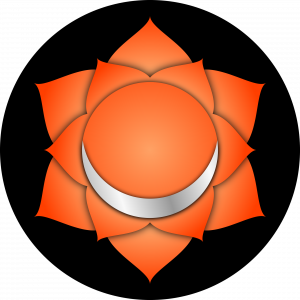 sacral-gb2575007e_1920